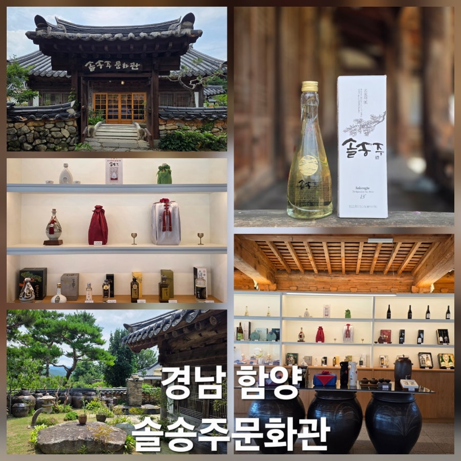 솔송주문화관 사진 1