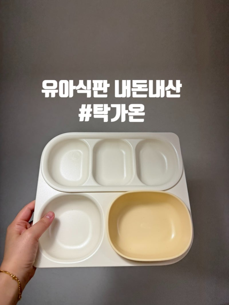 내 돈 내산 유아 식판 탁가온 사용 후기 식세기가능한 탁가온 식판