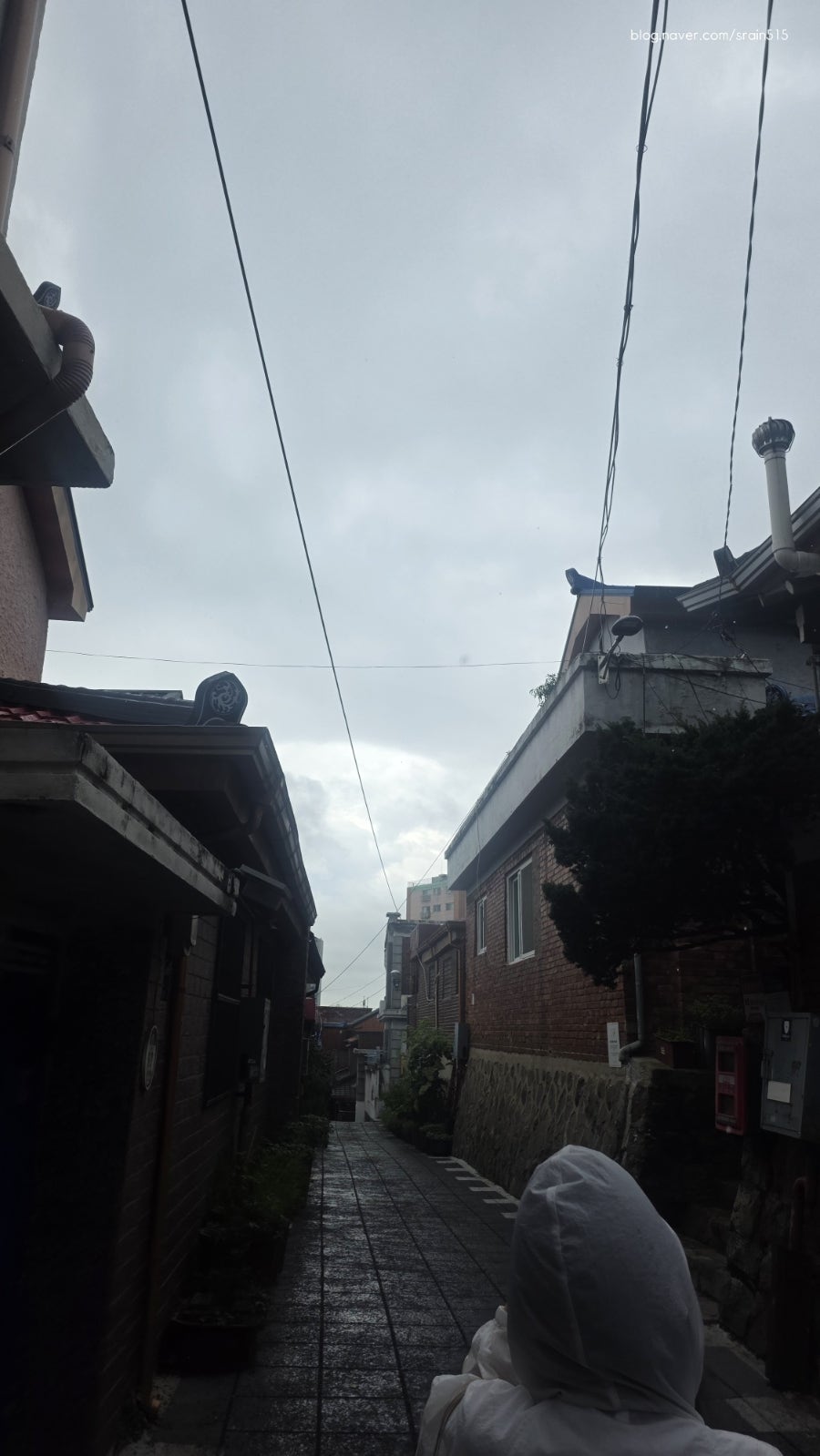 오프닝포트 사진 4