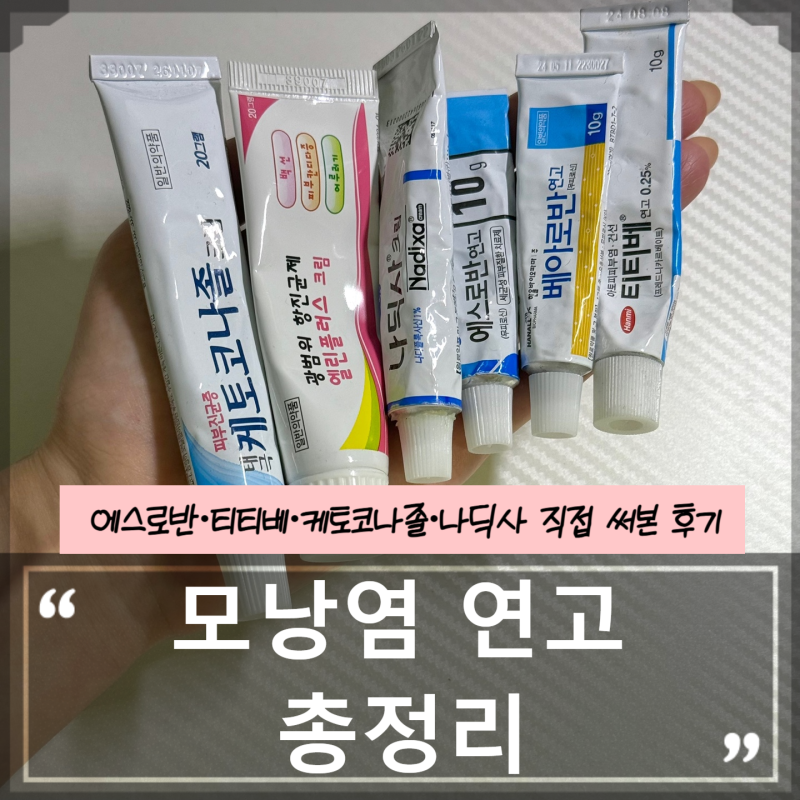 모낭염 약국 연고 종류 총정리｜에스로반·티티베·케토코나졸·나딕사 사용 후기