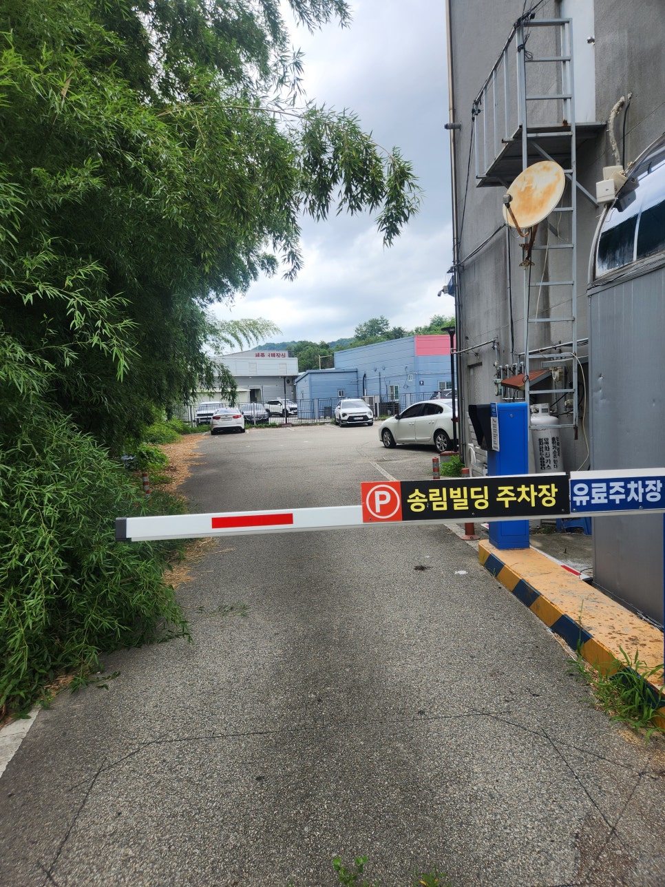 도야짬뽕 효자점 사진 3