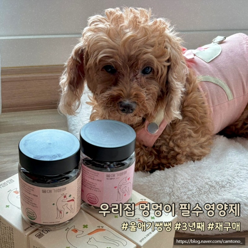 강아지 종합영양제 울애기쌩쌩 노견 에너지 부스터