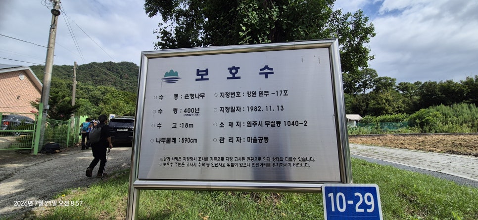 배부른산 사진 4