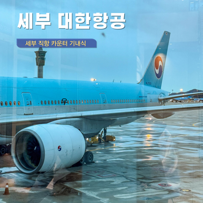 필리핀 세부 여행 항공권 대한항공 직항 기내식 후기 KE601