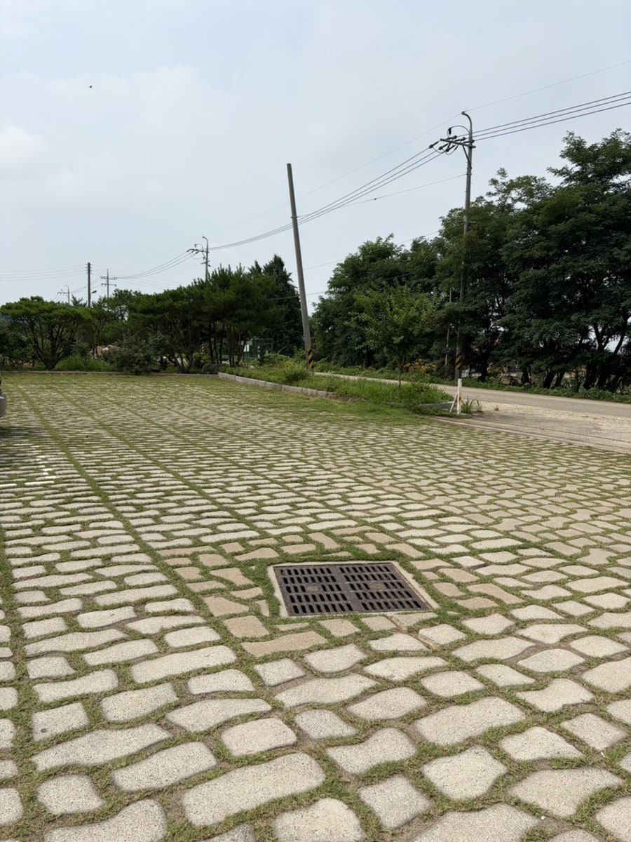 오후엔소풍 사진 3