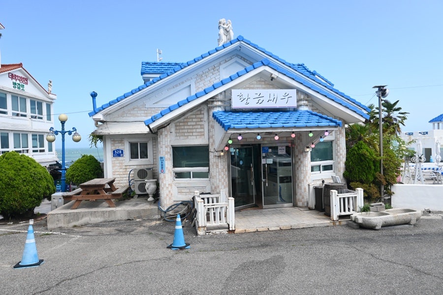 황금새우 사진 3