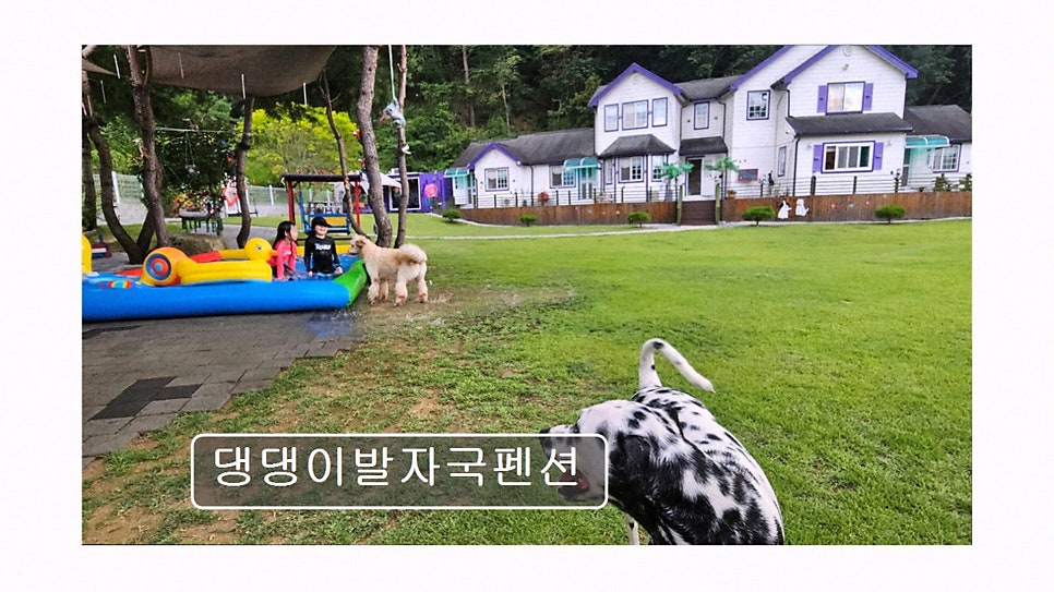 댕댕이발자국펜션 사진 3