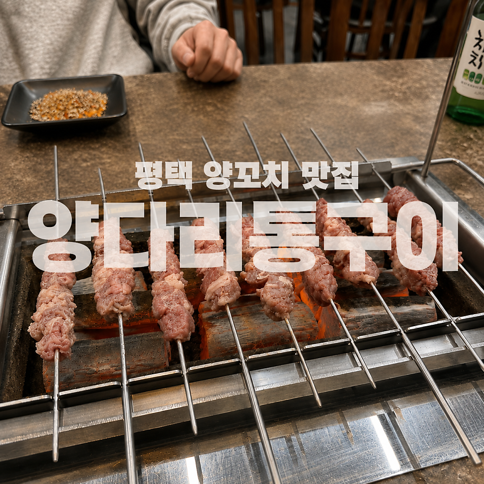 고덕양꼬치양다리통구이 사진 1