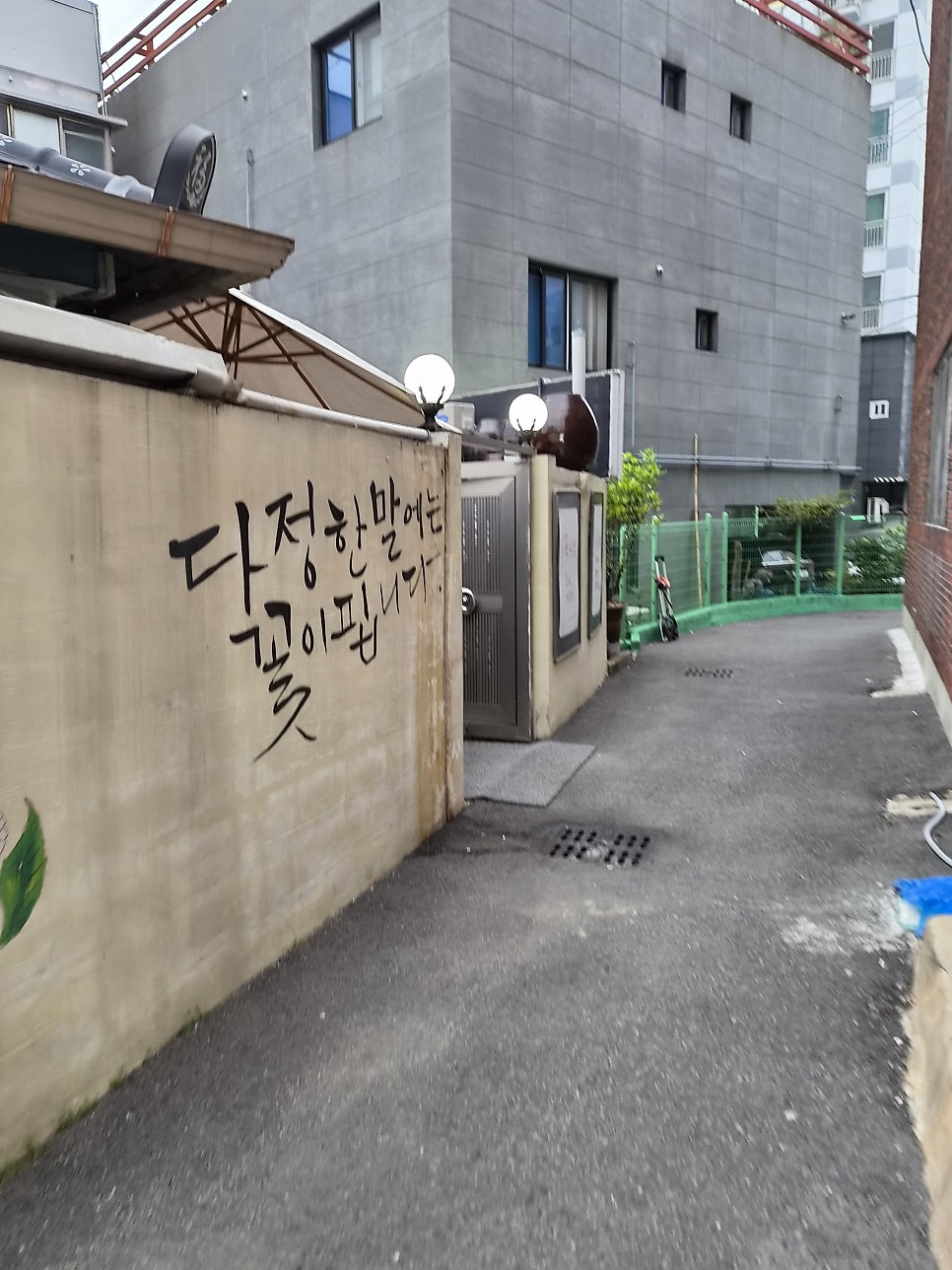 국시랑술이랑 사진 5