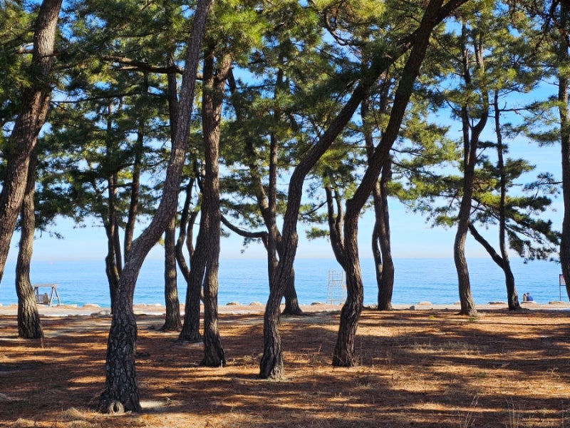강릉 가성비 숙소 추천, 라메르 경포대 호텔 오션뷰 객실 후기