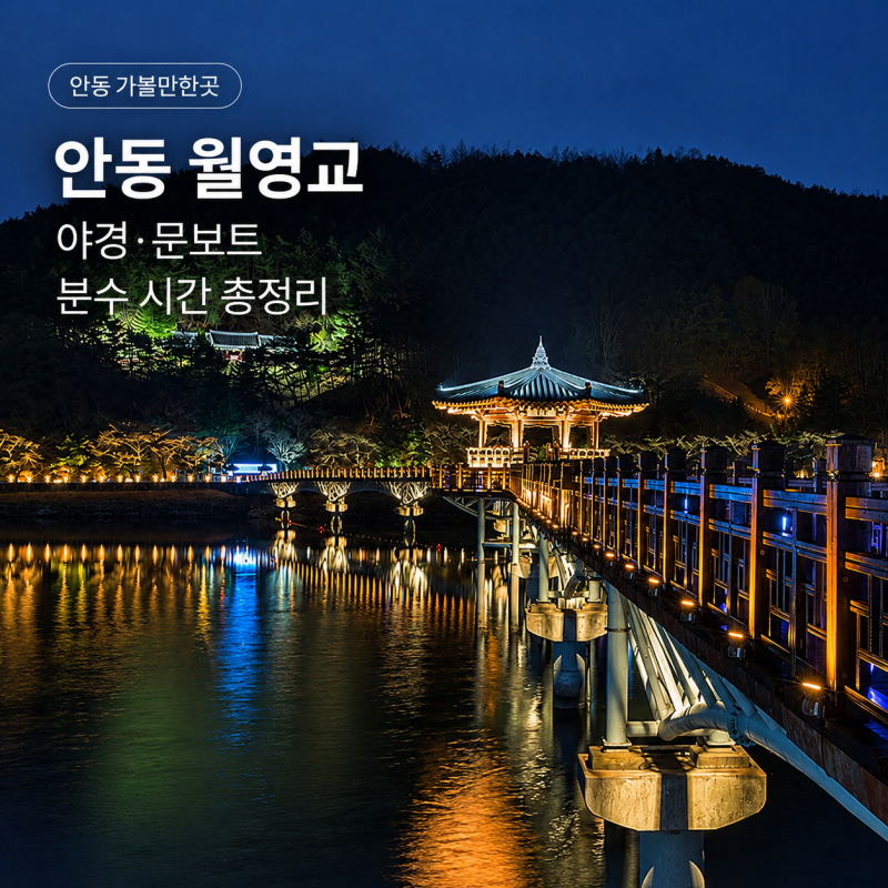 안동 월영교 야경 문보트 분수 시간 주차 안동 가볼만한곳 총정리