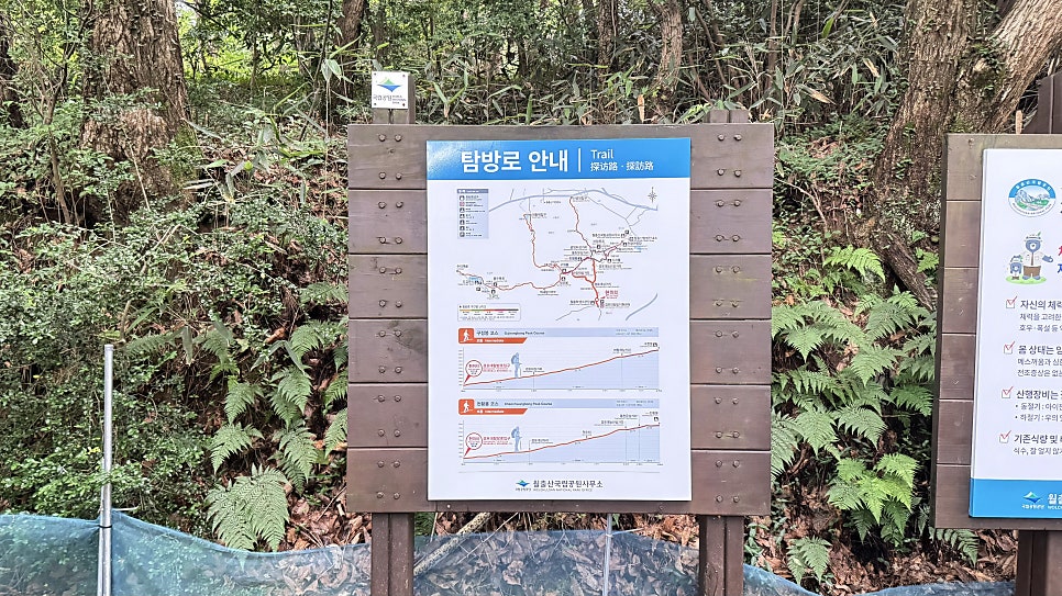 월출산국립공원 사진 5