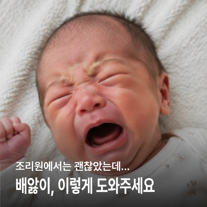 조리원에서는 괜찮았는데, 신생아 배앓이 왜 생기는 걸까요? 원인부터 장을 편안하게 하는 ....