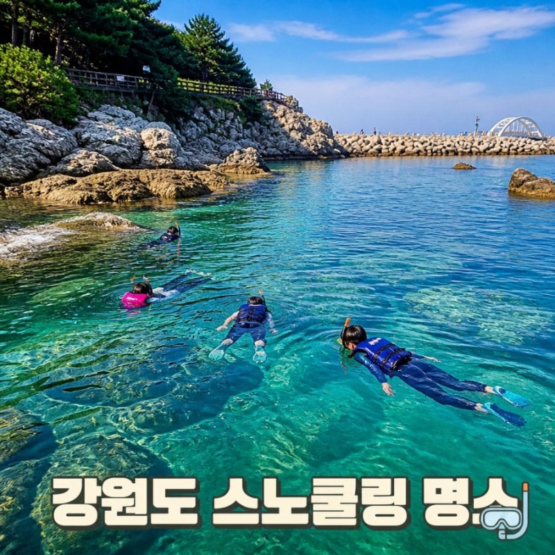 강원도스노쿨링명소 강원도삼척물놀이