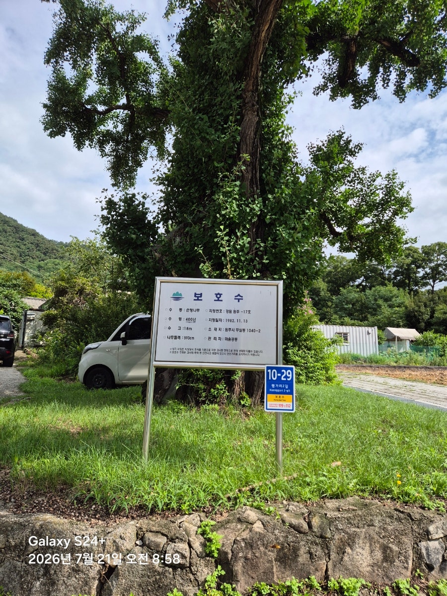 감박산 사진 4