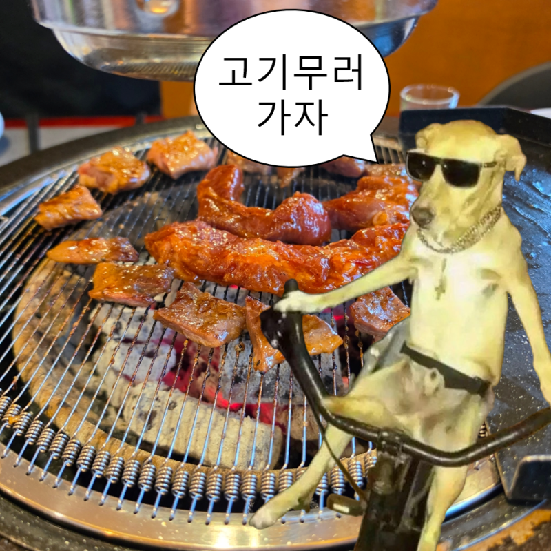 순천 조례동 고기집 쾌적한 맛집 :: 부산갈매기