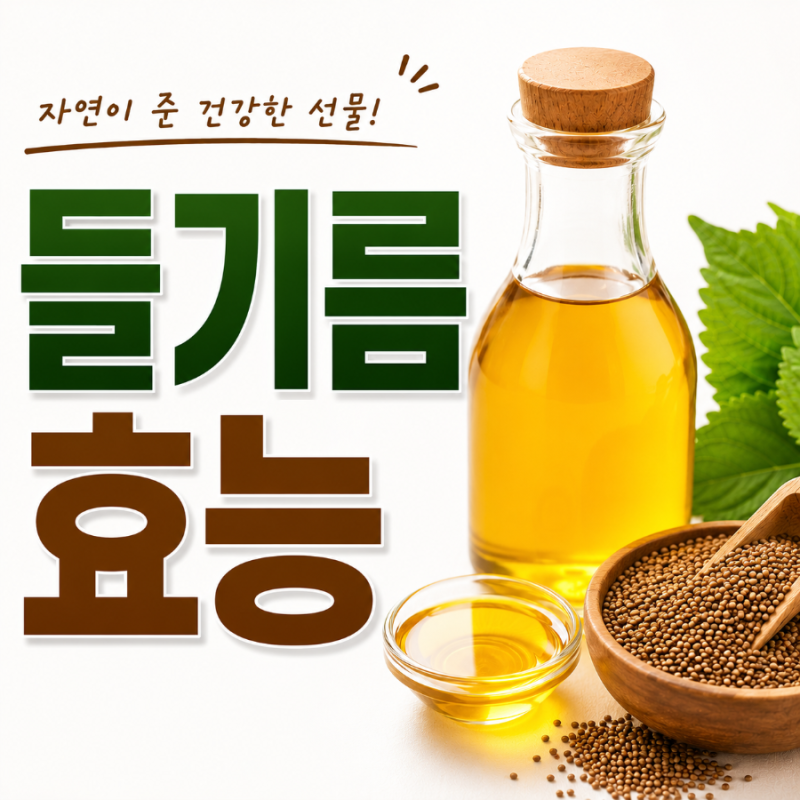 아침 공복 들기름 1스푼 효과 효능 언제 어떻게 먹는게 좋을까