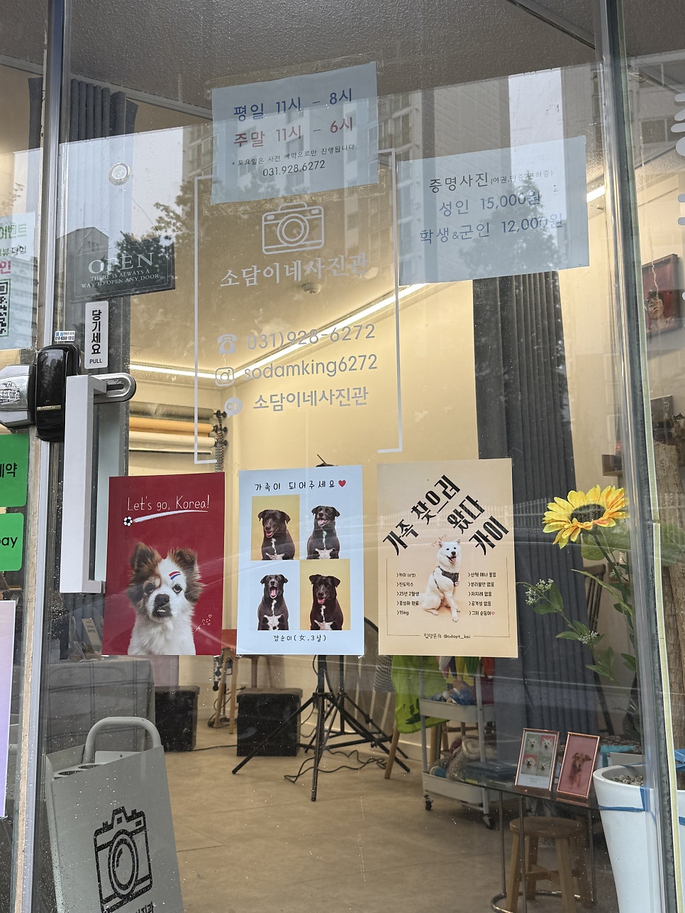 소담 사진 3