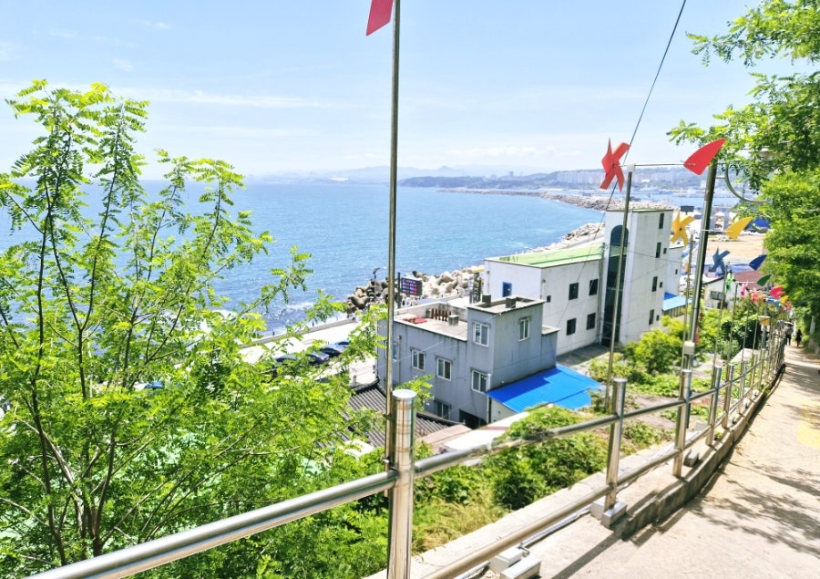 다이버구이 사진 4