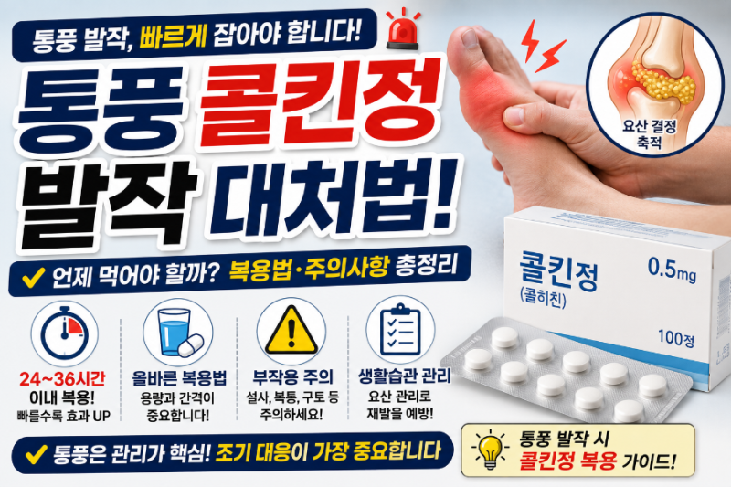 통풍 발작 시 콜킨정(콜히친) 복용법! 언제 먹어야 효과가 좋을까?