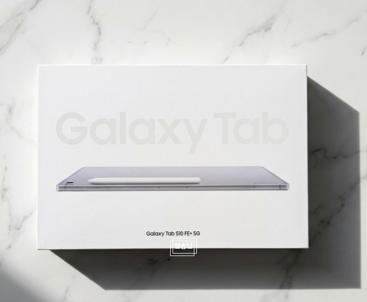 갤럭시탭 S10 FE+ vs 갤럭시탭 S10+ 완벽 비교 분석기