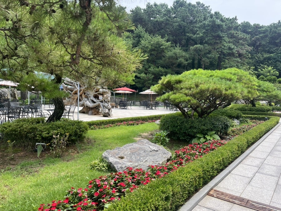 몬떼델피노 사진 3