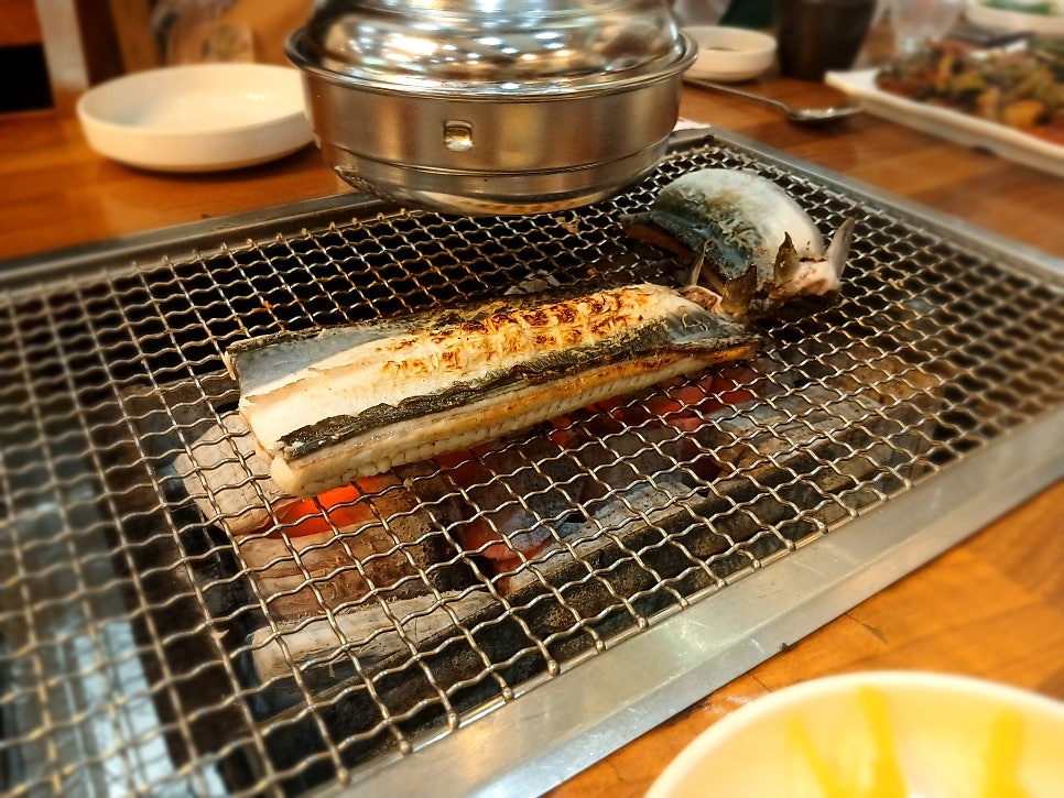 벌떡장어 사진 3
