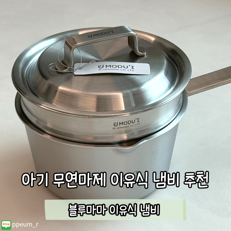 6개월 아기 이유식냄비 추천 '블루마마 모두아이 이유식냄비'
