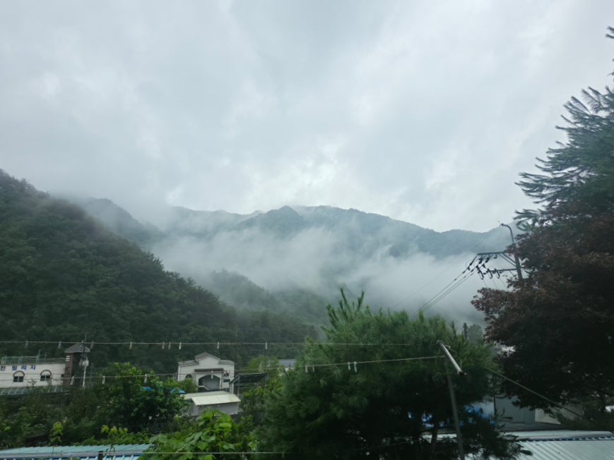 내린천황토마을펜션 사진 5