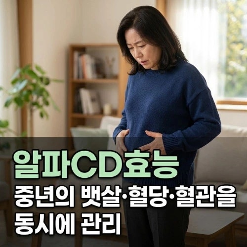 알파CD효능, 40대 이후 뱃살·혈당·혈관을 동시에 관리할 수 있을까요