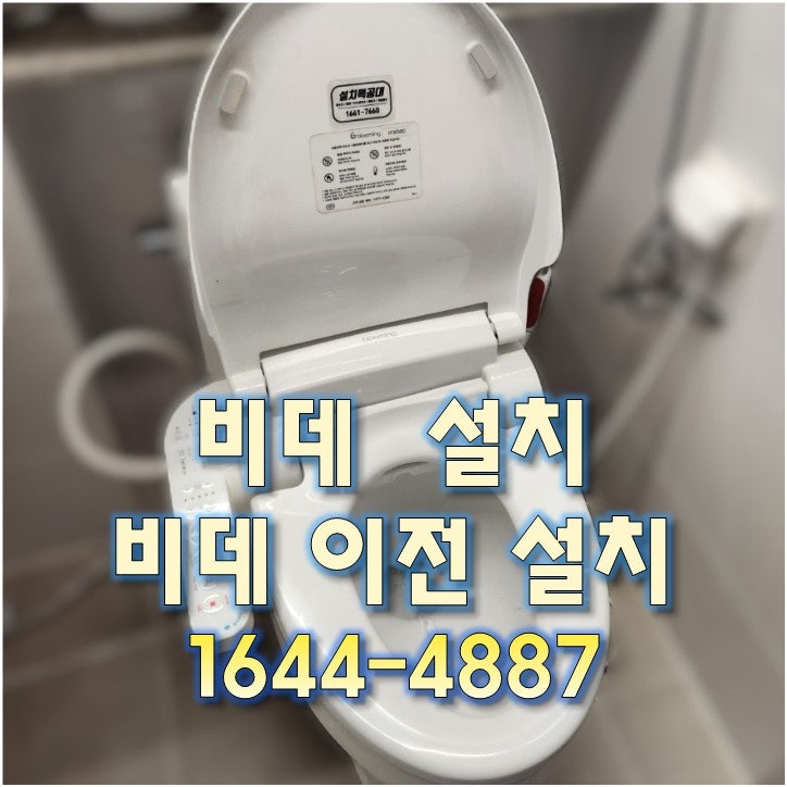 블루밍 사진 1