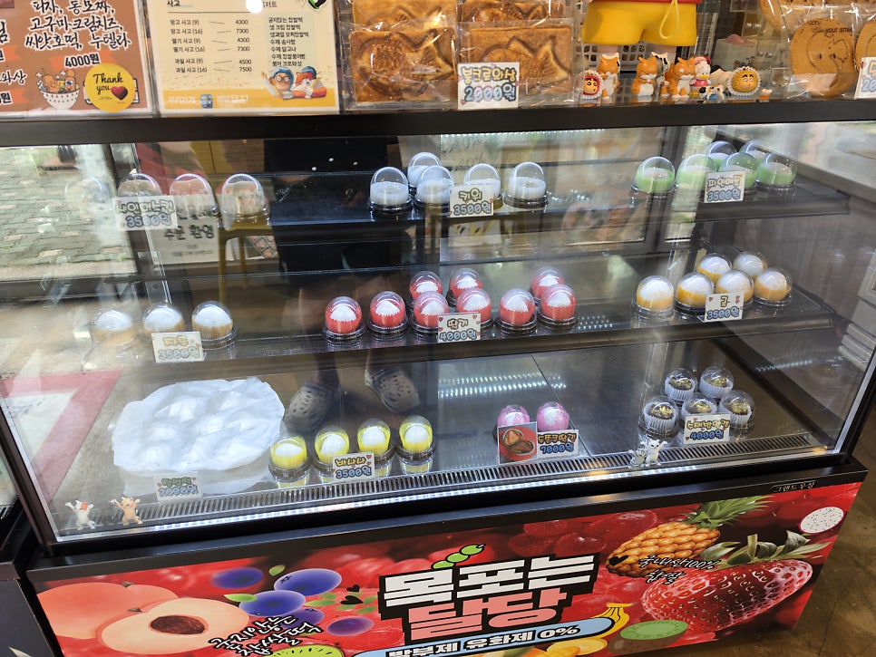 목포는달당 사진 3