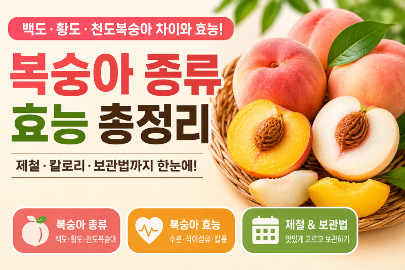 복숭아 종류와 효능 총정리, 백도·황도·천도복숭아 차이