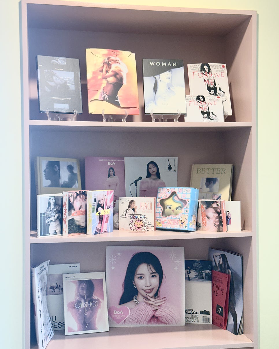 메리보아 사진 6