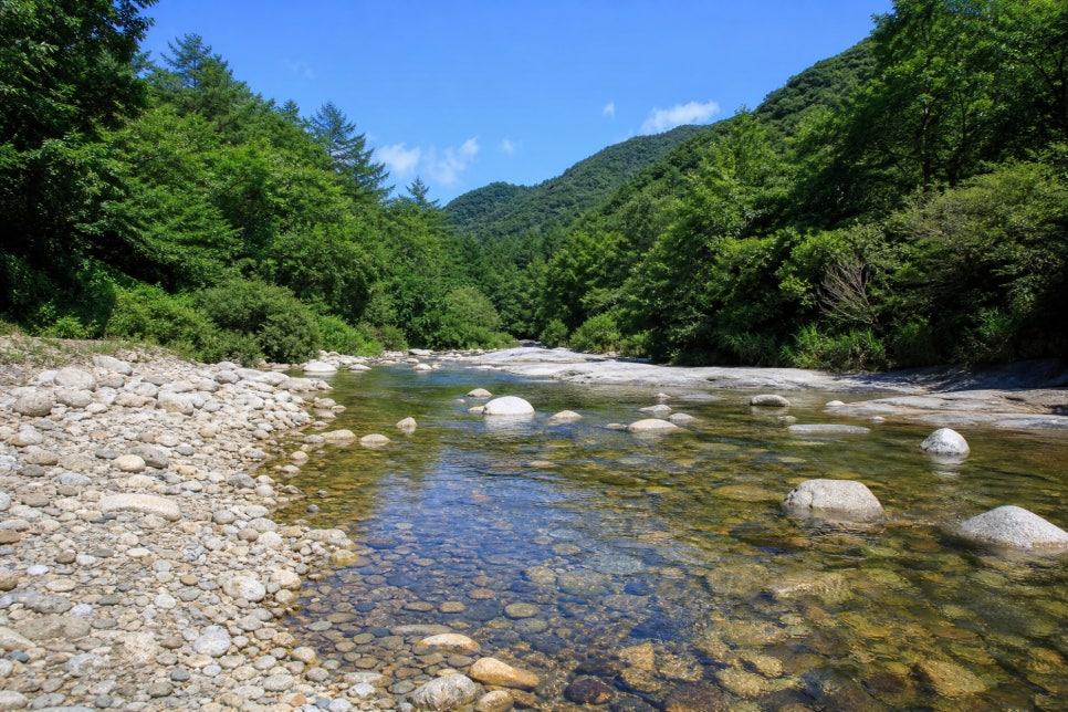 두룽산 사진 1
