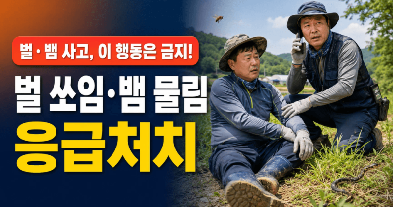 야외작업 벌 쏘임·뱀 물림 응급처치｜119 신고해야 하는 증상