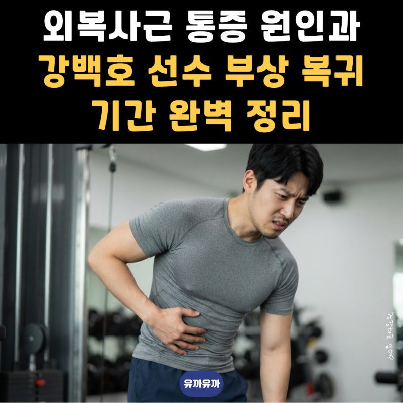 외복사근 통증 원인과 강백호 선수 부상 복귀 기간 완벽 정리