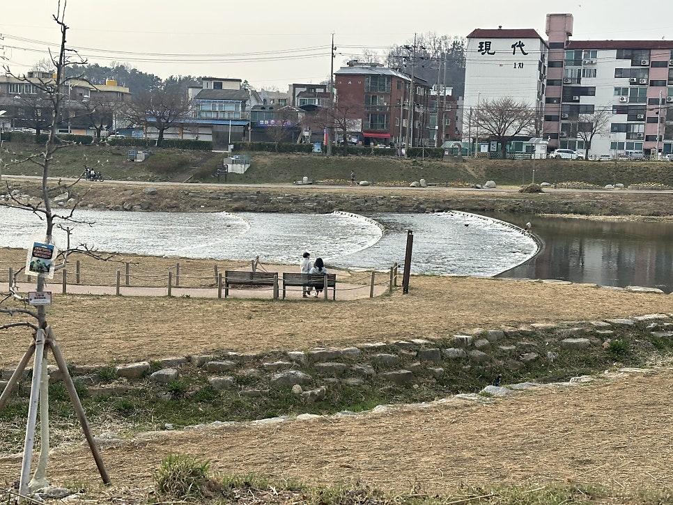 야미얌 사진 4