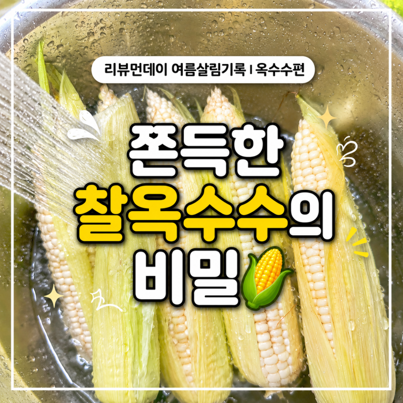 쿠쿠 스피드팟 멀티쿠커로 찰옥수수 삶는법, 압력솥 삶는 시간과 물양 총정리