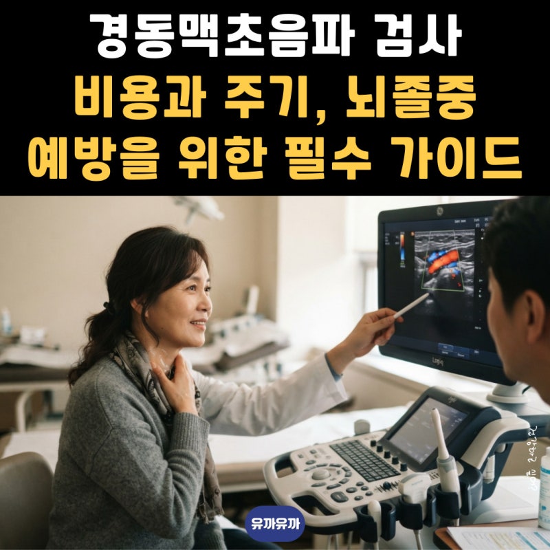 경동맥초음파 검사 비용과 주기, 뇌졸중 예방을 위한 필수 가이드