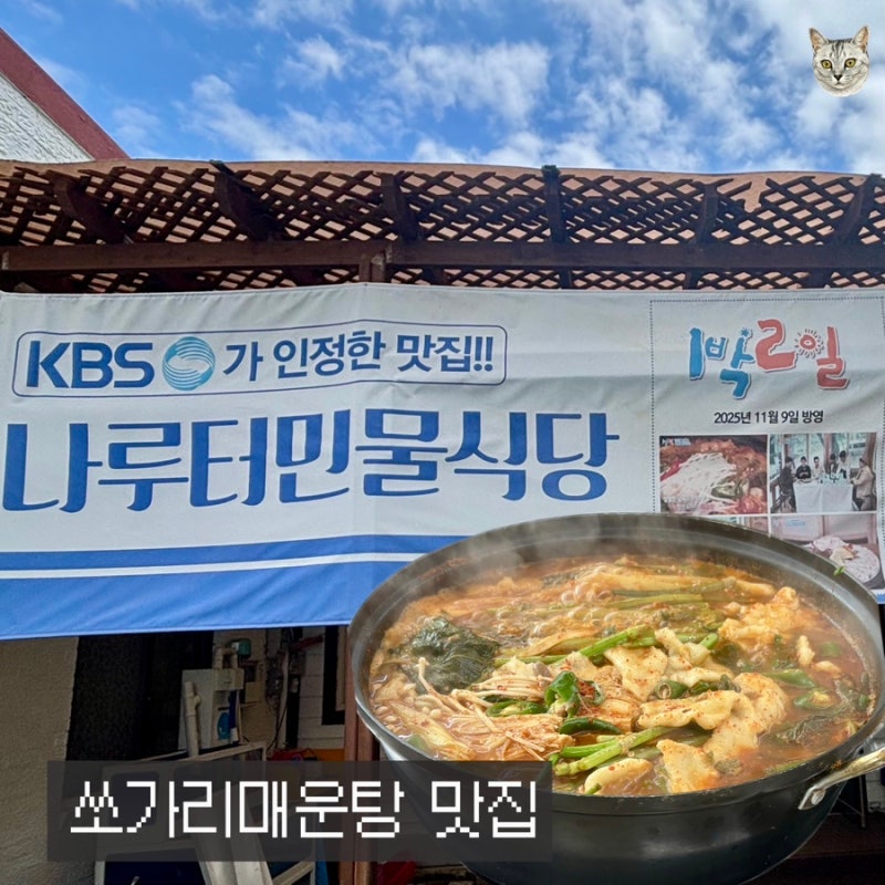 [단양] 쏘가리매운탕이 진국인 '나루터민물식당' 솔직 후기(N번째 방문/또간집)