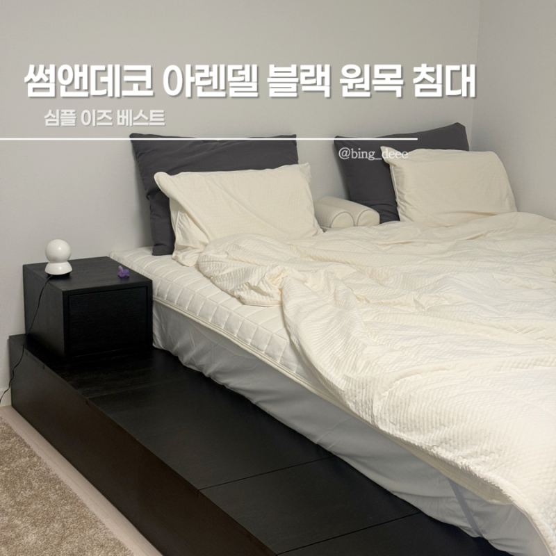 썸앤데코 아렌델 블랙 프레임 내돈내산 추천 후기