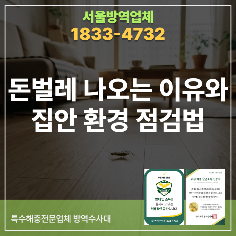 돈벌레나오는이유와 집안 환경 점검법