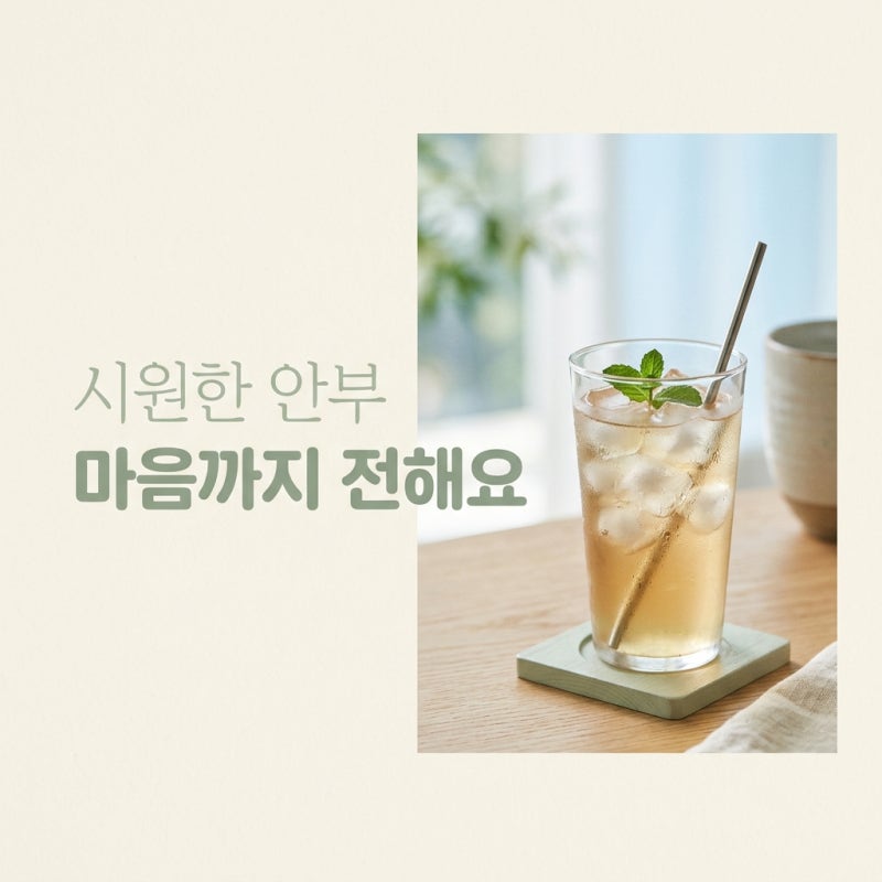 무더위 안부인사, 2026년 여름 센스 있게 마음 전하는 법