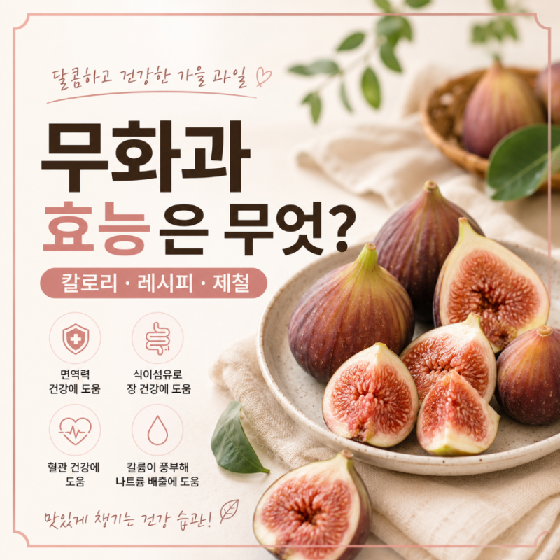 무화과 효능은 무엇? 칼로리 레시피 제철