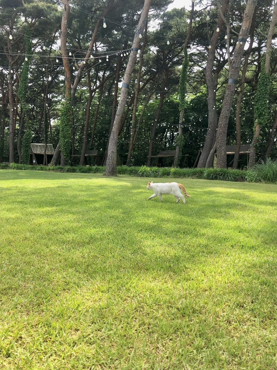 카페모월 사진 2