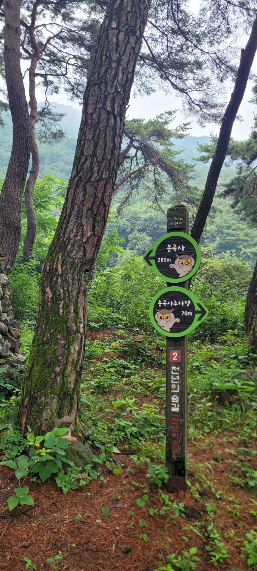 천년의숲길 사진 3