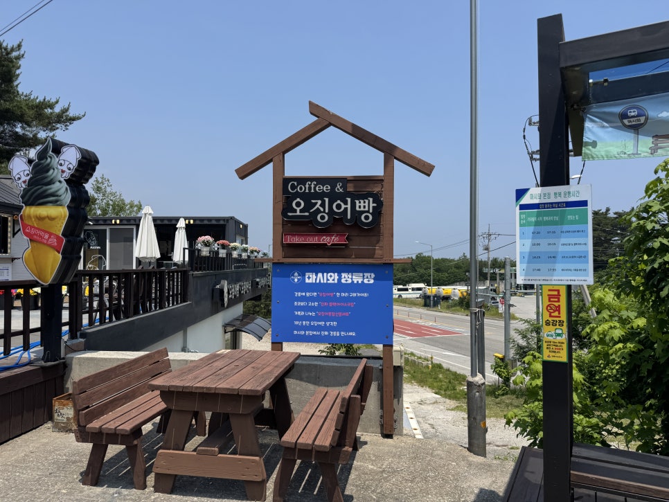 마시와 사진 5