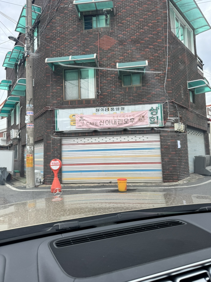 신이내린오후 사진 2