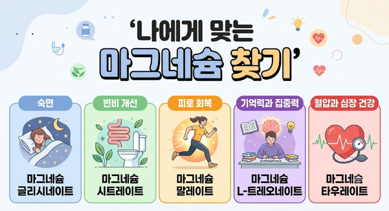 필수 미네랄 마그네슘 종류별 차이부터 효능 총정리! 수면에 좋은 마그네슘은 무엇?